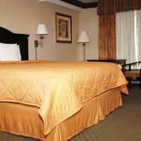 Hotel Comfort & Near Universal - N Hollywood - Burbank